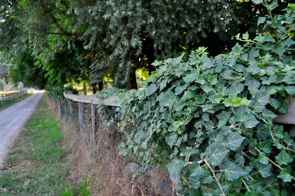 Le Macine Relais Bed and Breakfast Cairo Montenotte Eksteriør billede